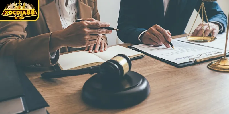 Cam kết và nghĩa vụ trong điều kiện sử dụng