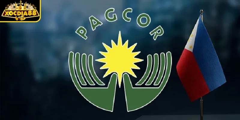 Loại hoạt động và phạm vi hồ sơ PAGCOR